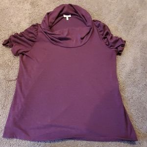 Mauve Short sleeve Turtleneck 1x
